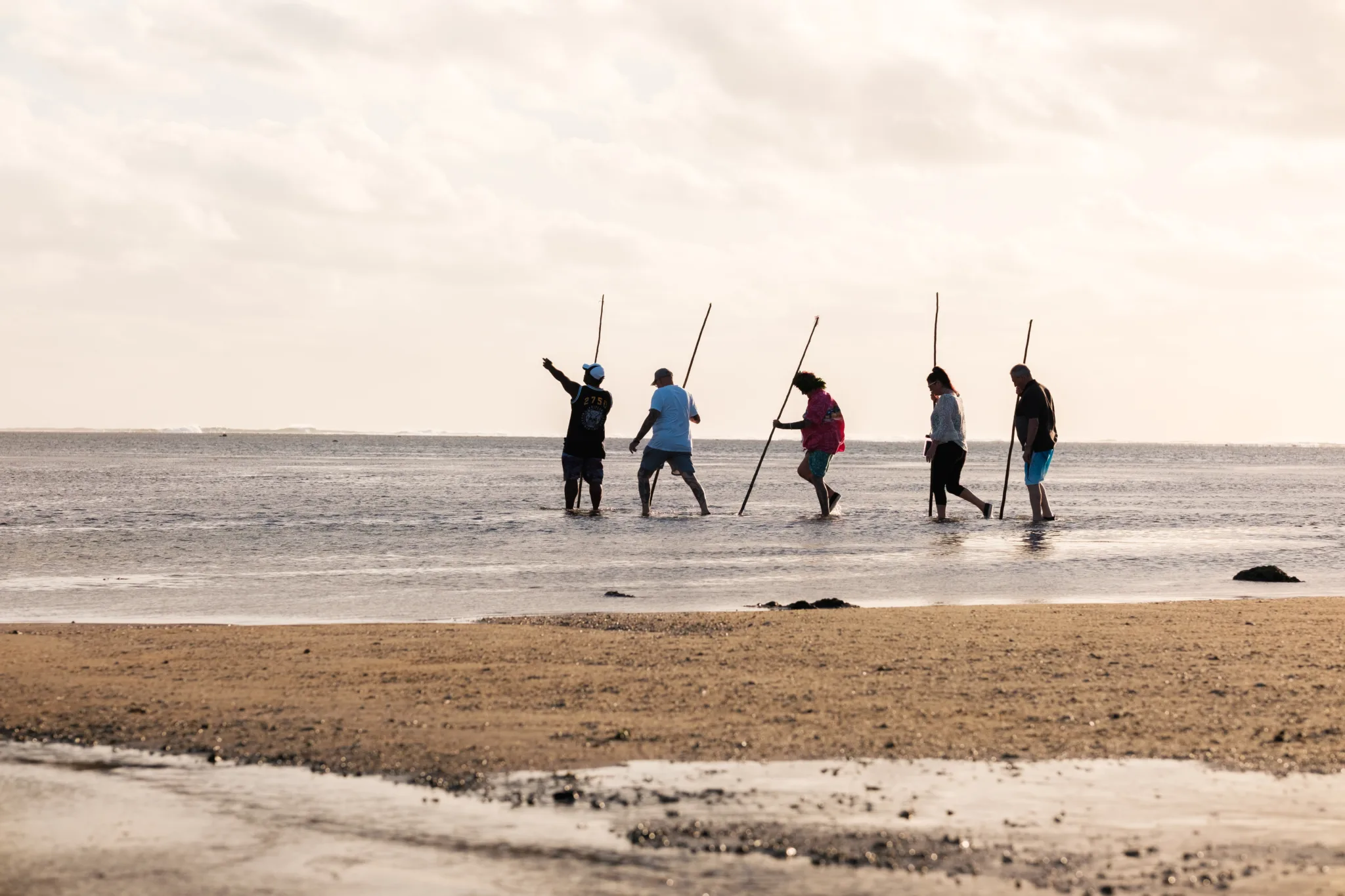 Fiji Hideaway Coral Canvas – A Low-Tide Reef Discovery on the Coral Coast